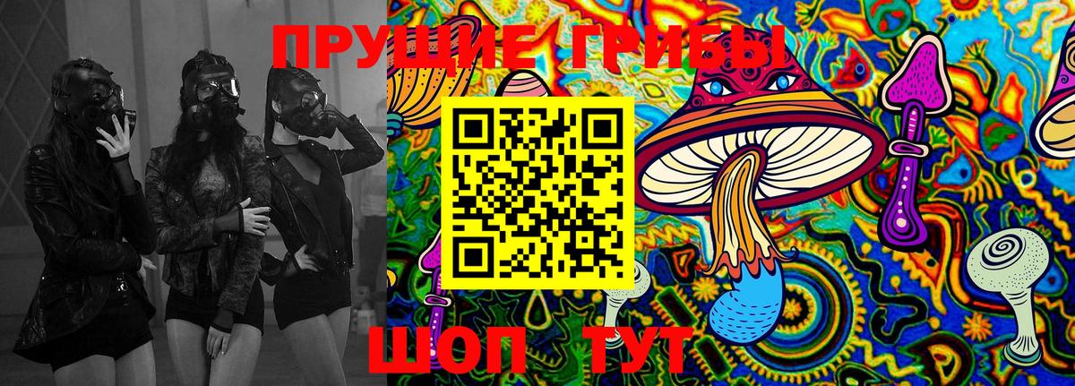 Электрогорск  Псилоцибиновые грибы GOLDEN TEACHER  Вход с VPN 