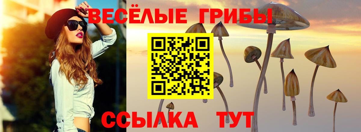 Галлюциногенные грибы GOLDEN TEACHER Электрогорск